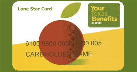 snap benefits houston|Lone Star Card